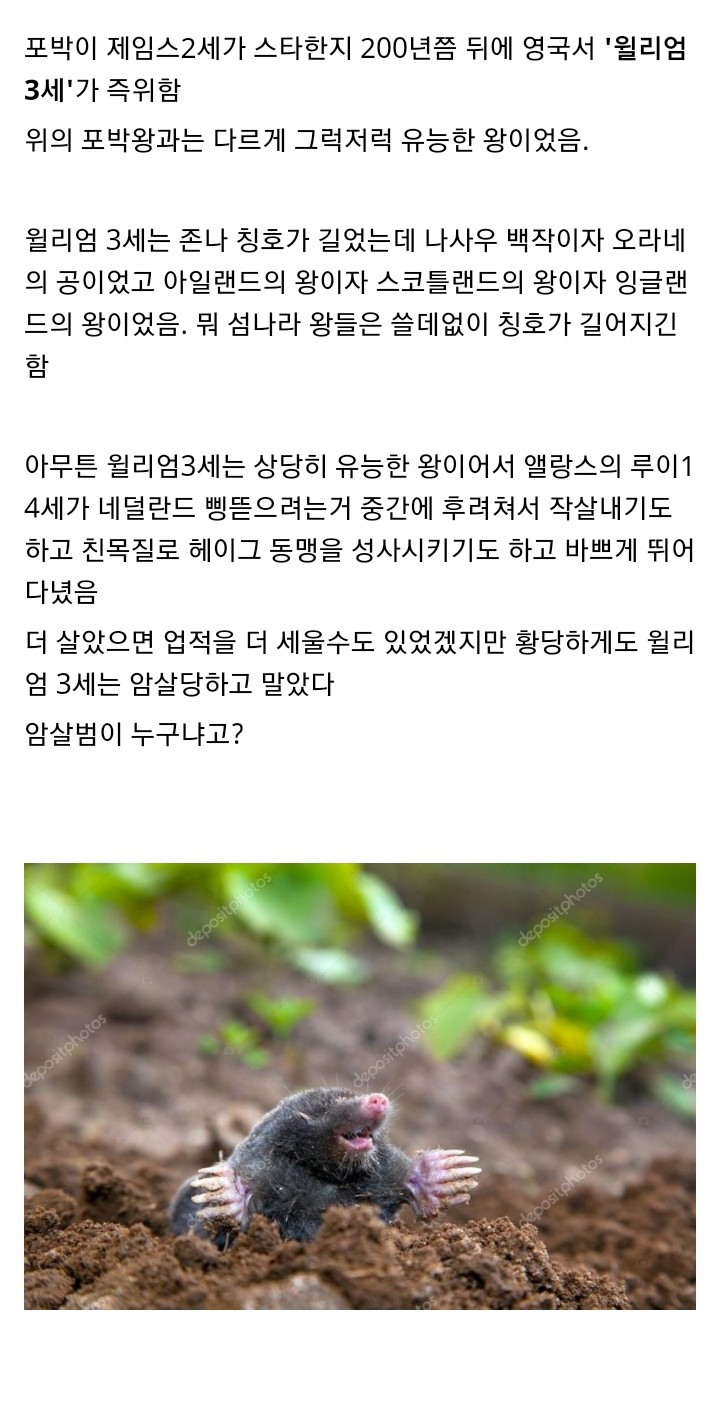 왕들의 기괴한 사망 원인.jpg | 인스티즈