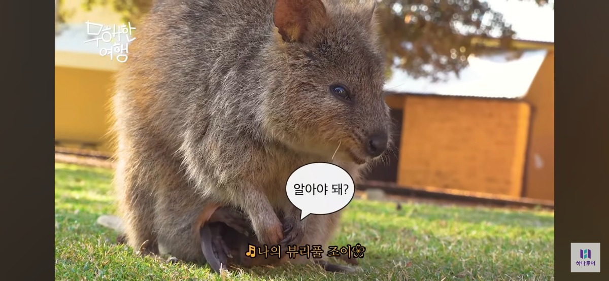 상당히 mz한 담당자가 들어온것 같다는 하나투어 유튜브 근황 | 인스티즈
