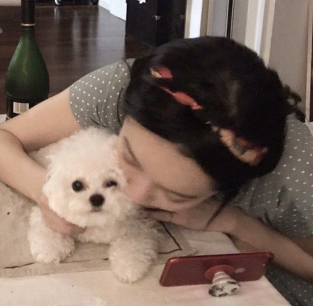연예인들의 반려동물 | 인스티즈