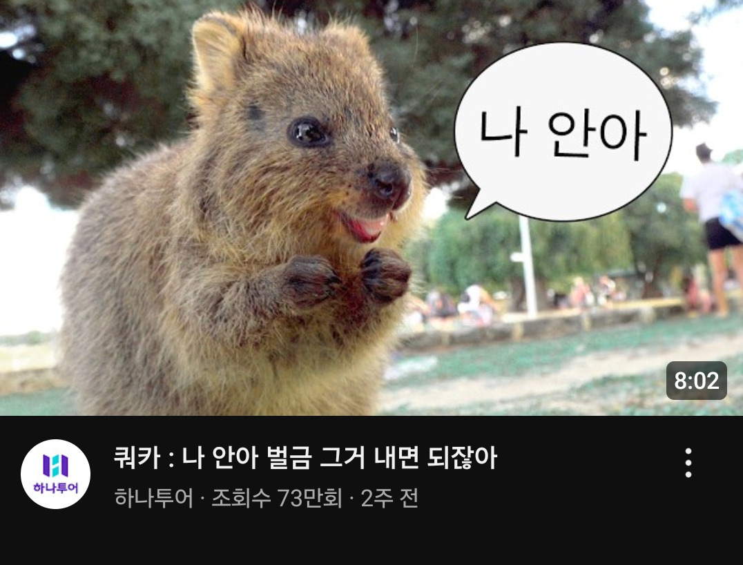 상당히 mz한 담당자가 들어온것 같다는 하나투어 유튜브 근황 | 인스티즈