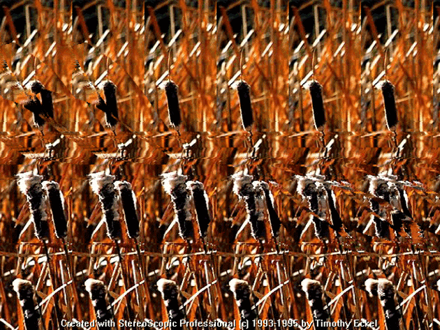 매직아이는 대체 어떻게 보는거야!??! 하는 언니들을 위해 찌는 글 | 인스티즈