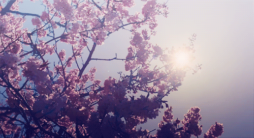 우리는 살면서 동성이기에 우정으로 넘겼던 사랑이 많고, | 인스티즈