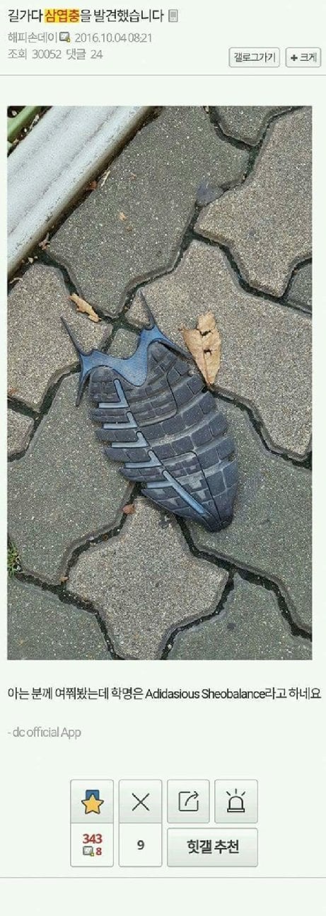 허언증 갤러리 레전드.jpg | 인스티즈