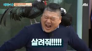 이럴때를 위해 있는 강호동 짤 | 인스티즈