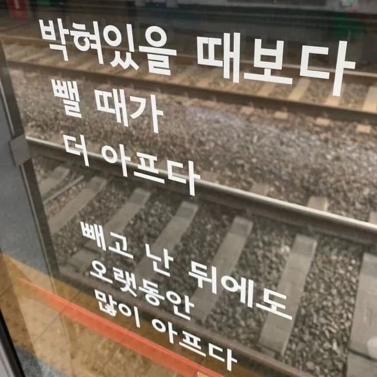 다음 시의 제목은? | 인스티즈