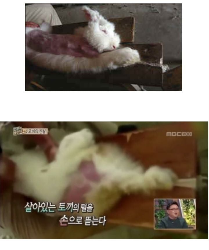 고통없는 겨울 옷 소재 알려드림!! | 인스티즈