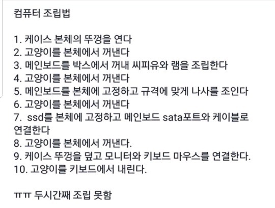 고양이와 함께 컴퓨터 조립하는 법 (ft. 고양이) | 인스티즈