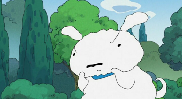 살찐 흰둥이의 다이어트 | 인스티즈