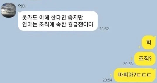 아들맘이 받는 카톡들 | 인스티즈