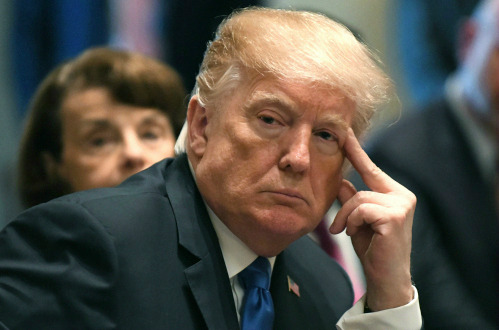 조만간 벌어질지도 모르는 트럼프의 초식 | 인스티즈