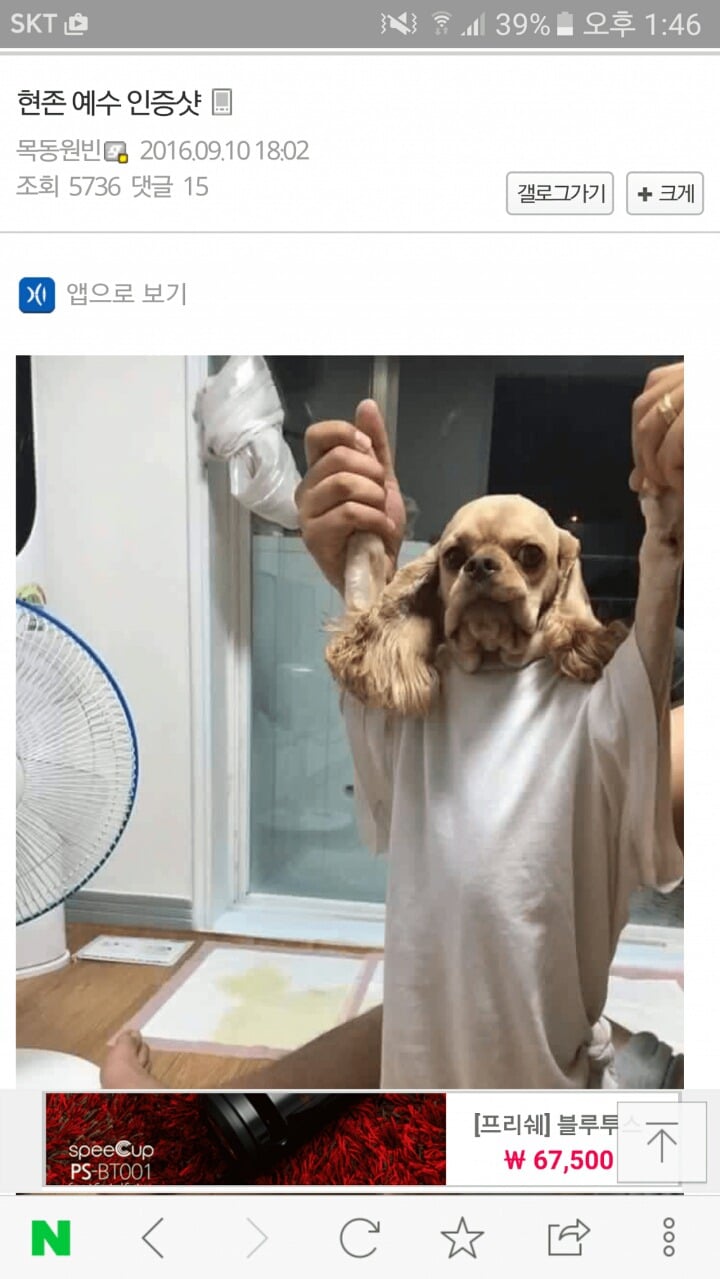 허언증 갤러리 레전드.jpg | 인스티즈
