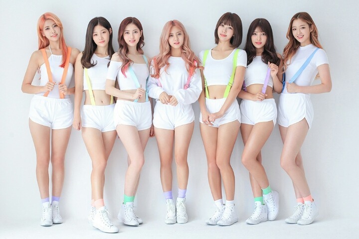 또 로타랑 작업한 다이아 | 인스티즈