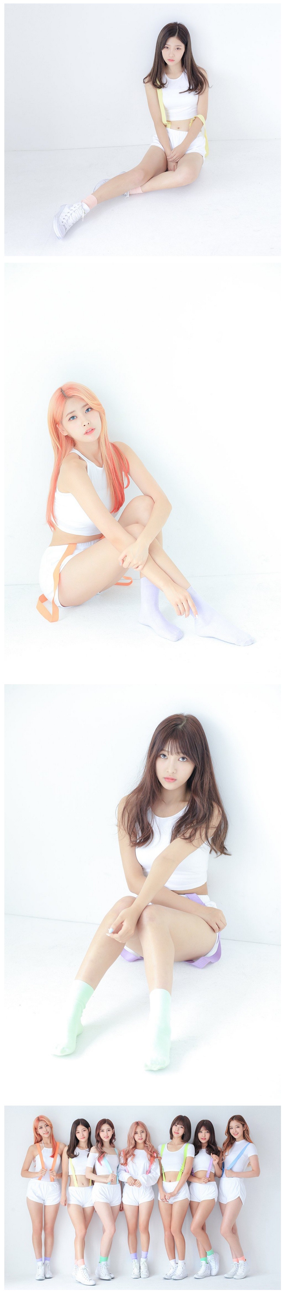 로타가 찍은 걸그룹 다이아 | 인스티즈