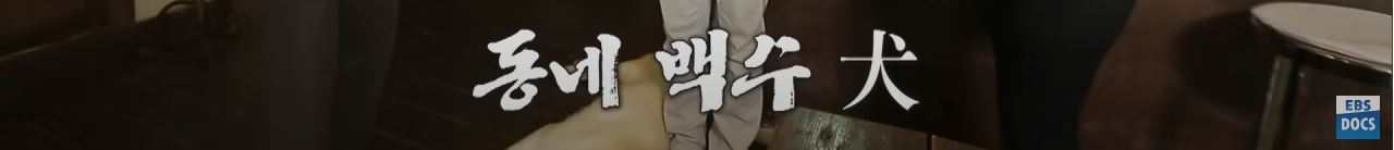 땅 1,500평 사서 혼자 집 짓고 살던 35살 여자, 20년 뒤 근황 | 인스티즈