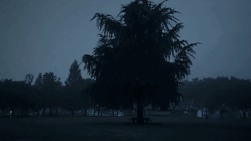 한 유튜버가 촬영하면서 정말 무서웠다는 새벽 2시 서울숲 풍경ㄷㄷ.gif | 인스티즈