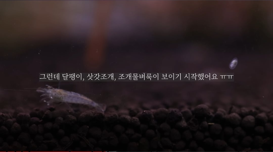 시간 + 돈 + 미감 + 부지런함을 요구하는 취미 | 인스티즈