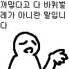 집에 벌레가 나와서 걱정인 여시들을 위해 : 여름철 맞이 각종 벌레 구분/대처법 (벌레 사진 없음) | 인스티즈