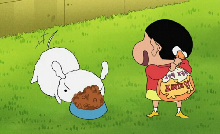 살찐 흰둥이의 다이어트 | 인스티즈