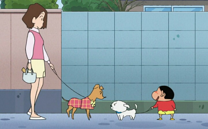 살찐 흰둥이의 다이어트 | 인스티즈