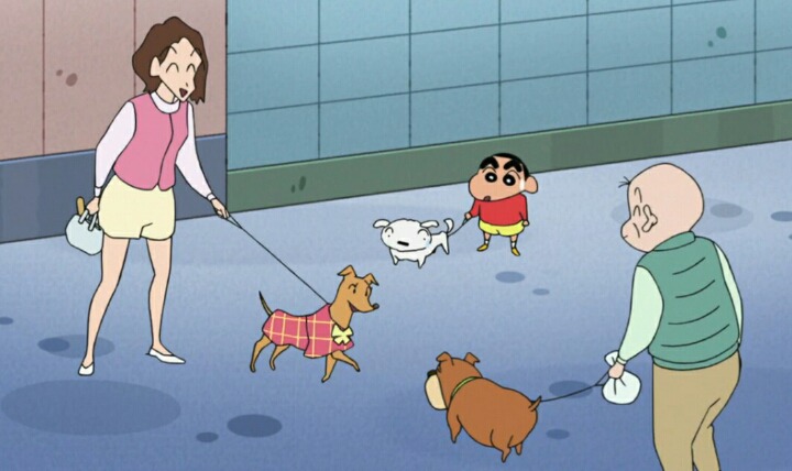 살찐 흰둥이의 다이어트 | 인스티즈