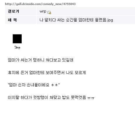 자위행위를 하다가 어머니께 걸린 디시인의 대처.jpg | 인스티즈