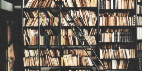 그대는 이 나라 어디 언덕에 풀꽃으로 흔들리느냐 | 인스티즈