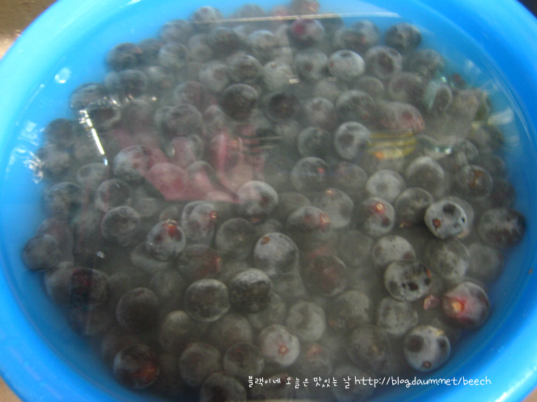 물 없이 설탕 없이 집에서 직접 만든 달콤한 100％ 포도쥬스 | 인스티즈