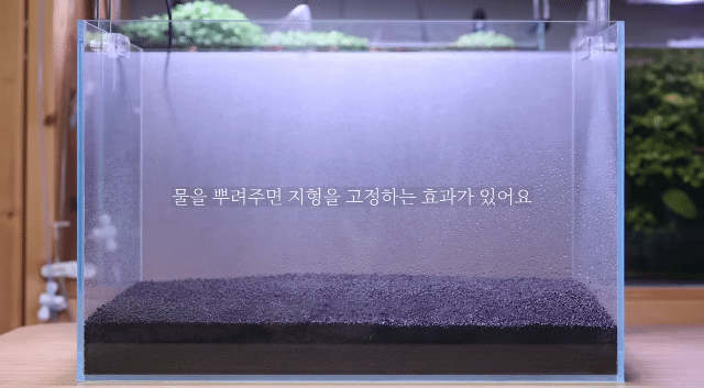 시간 + 돈 + 미감 + 부지런함을 요구하는 취미 | 인스티즈