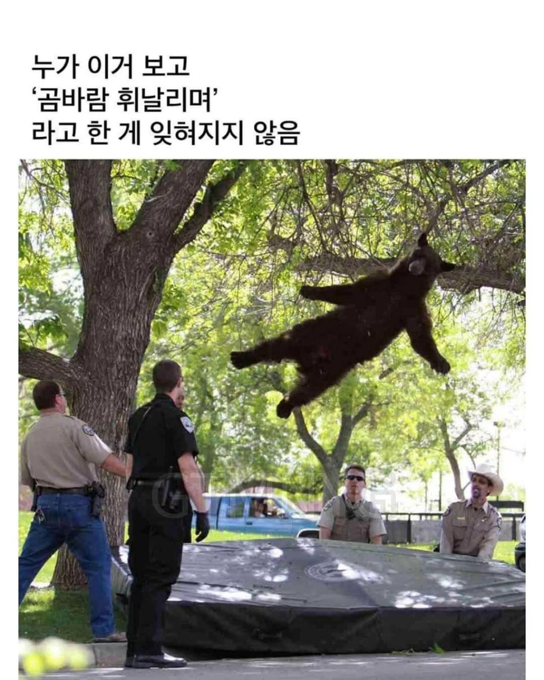 이거 박나래랑 쌈디라고 한거 누구냐 | 인스티즈