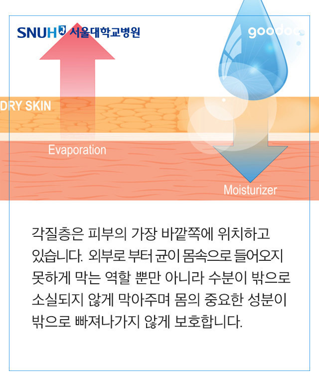 평생동안 때를 밀면 안되는 이유 | 인스티즈