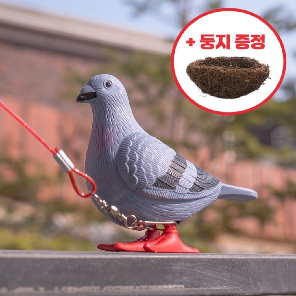 이걸 왜사? 모음 | 인스티즈
