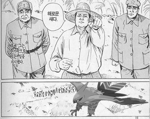 한때 OP 소리를 먹었거나 지금 먹고 있는 사기 포켓몬들 총정리 | 인스티즈