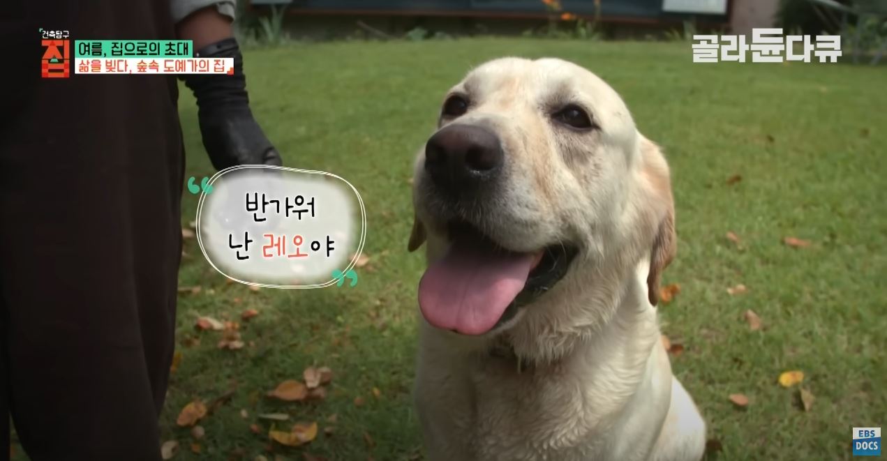땅 1,500평 사서 혼자 집 짓고 살던 35살 여자, 20년 뒤 근황 | 인스티즈