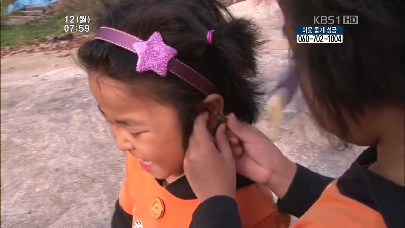 [인간극장] 우리 엄마는 할머니 1부 (감자 주의보 발령!!!) | 인스티즈
