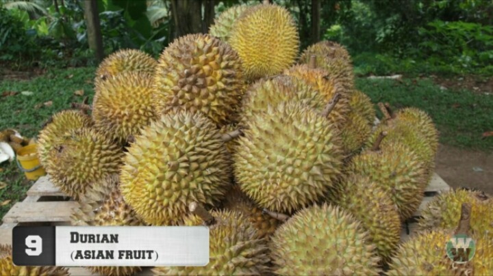 약혐)세계에서 가장 역겨운 음식 TOP 20.jpg | 인스티즈