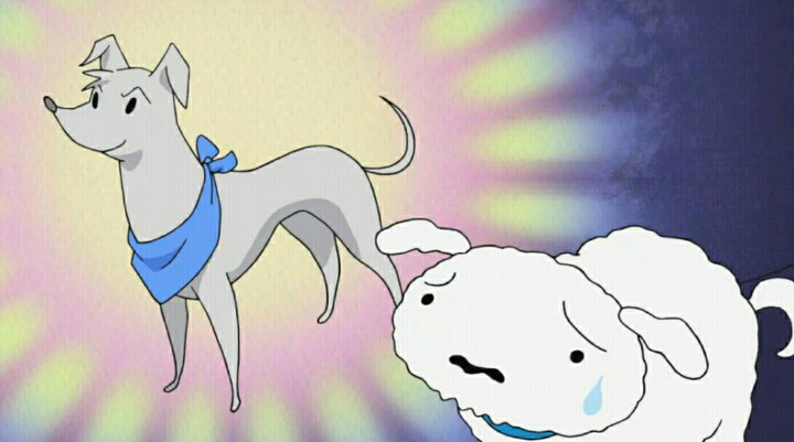 살찐 흰둥이의 다이어트 | 인스티즈