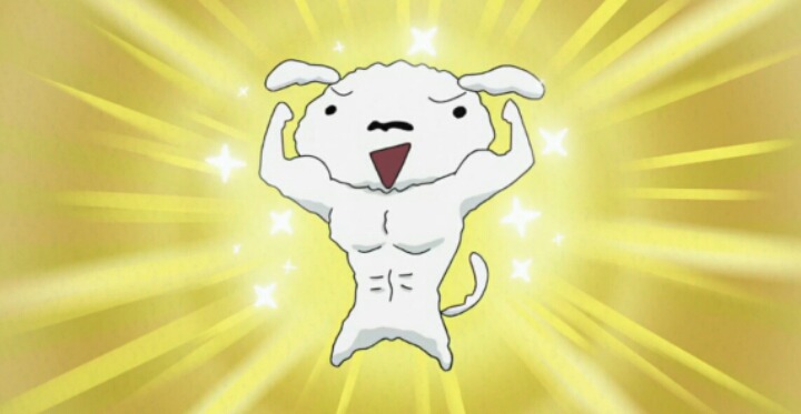 살찐 흰둥이의 다이어트 | 인스티즈