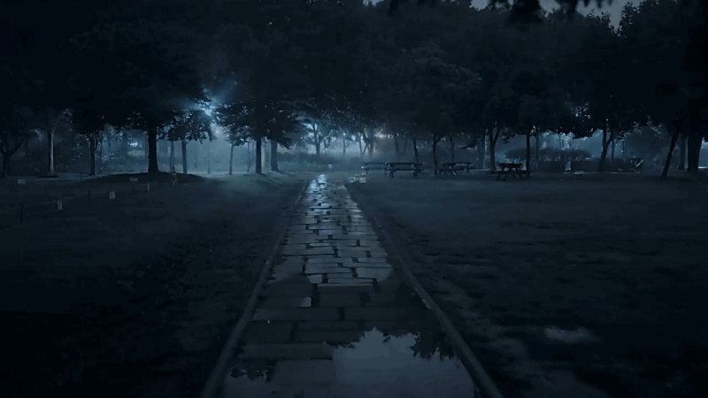 한 유튜버가 촬영하면서 정말 무서웠다는 새벽 2시 서울숲 풍경ㄷㄷ.gif | 인스티즈