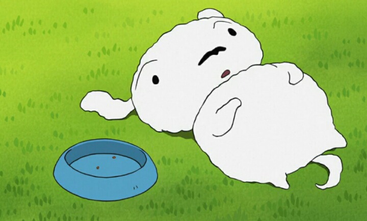 살찐 흰둥이의 다이어트 | 인스티즈