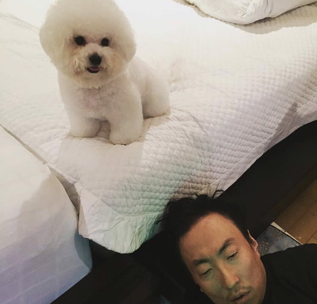 연예인들의 반려동물 | 인스티즈