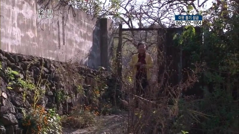 [인간극장] 우리 엄마는 할머니 1부 (감자 주의보 발령!!!) | 인스티즈
