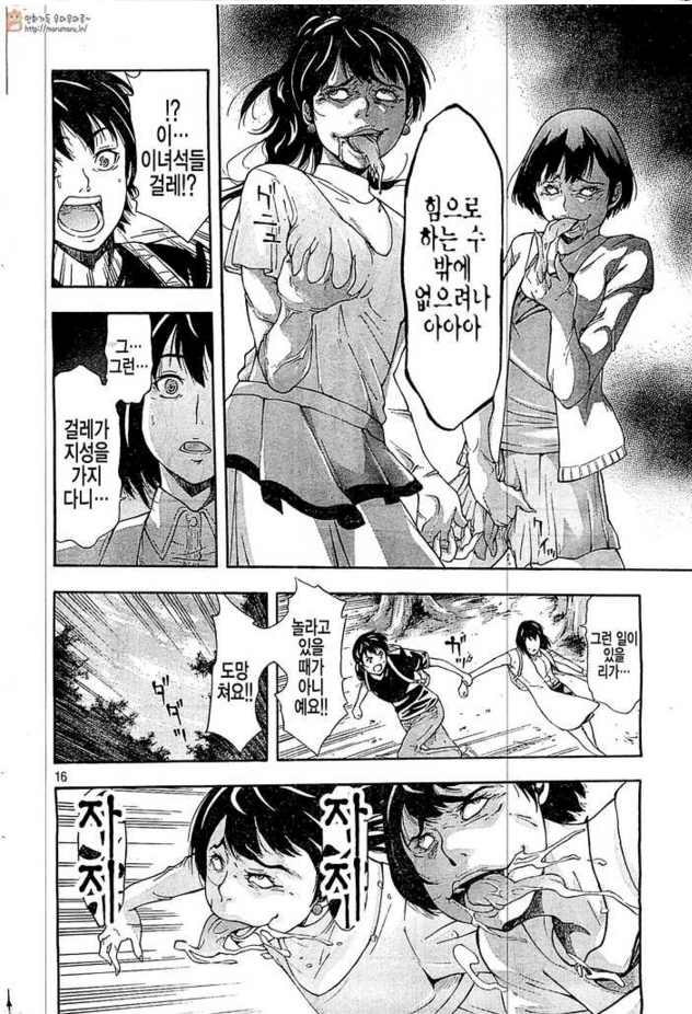 Y의 낙원 | 인스티즈