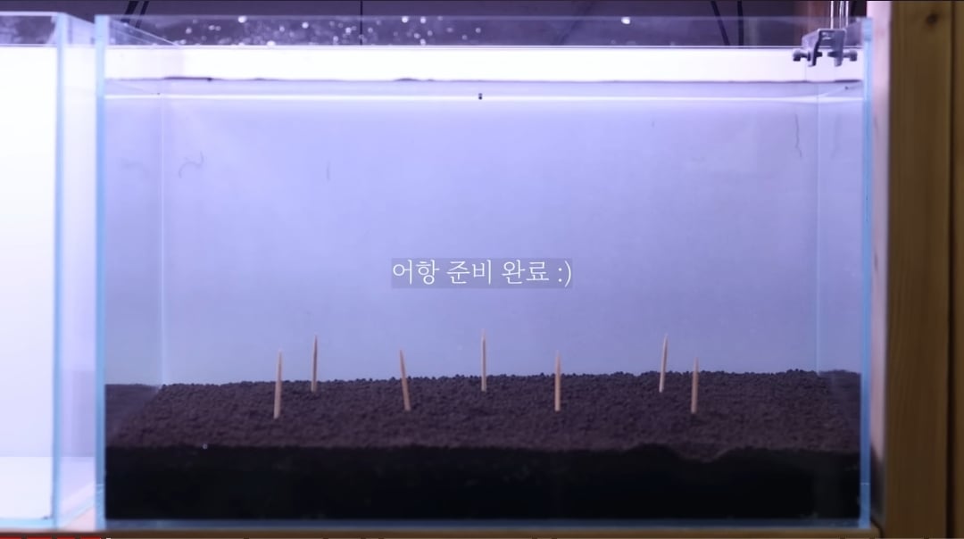시간 + 돈 + 미감 + 부지런함을 요구하는 취미 | 인스티즈