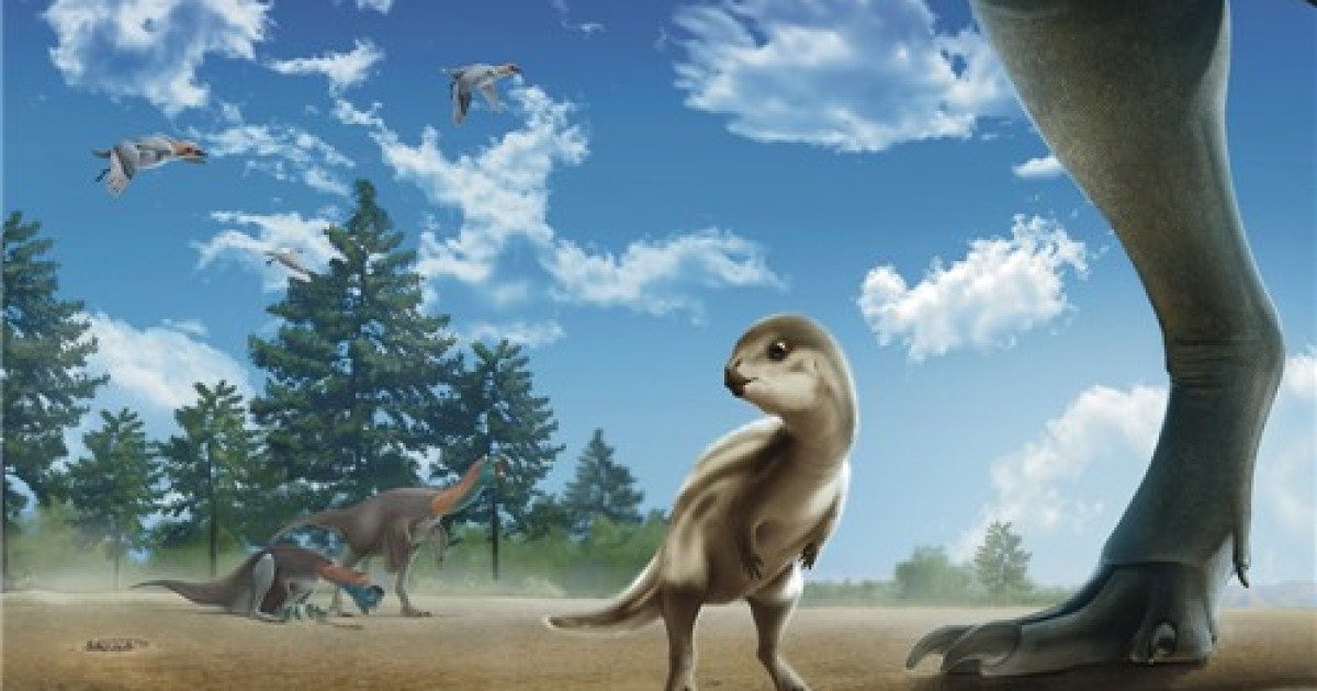 '내 이름은 둘리사우루스'…신안서 발견된 아기 공룡에 새 학명 | 인스티즈