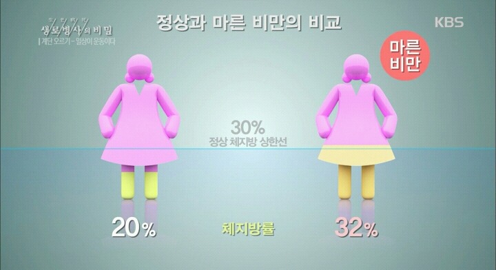 20대 여성의 건강이 위험하다-마른비만.jpg | 인스티즈