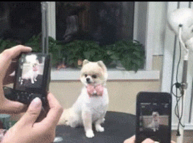 자기가 귀여운줄 아는애들 특징.gif | 인스티즈