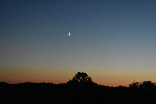  당신은 주인공이다 | 인스티즈