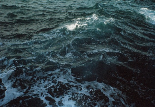  당신은 주인공이다 | 인스티즈