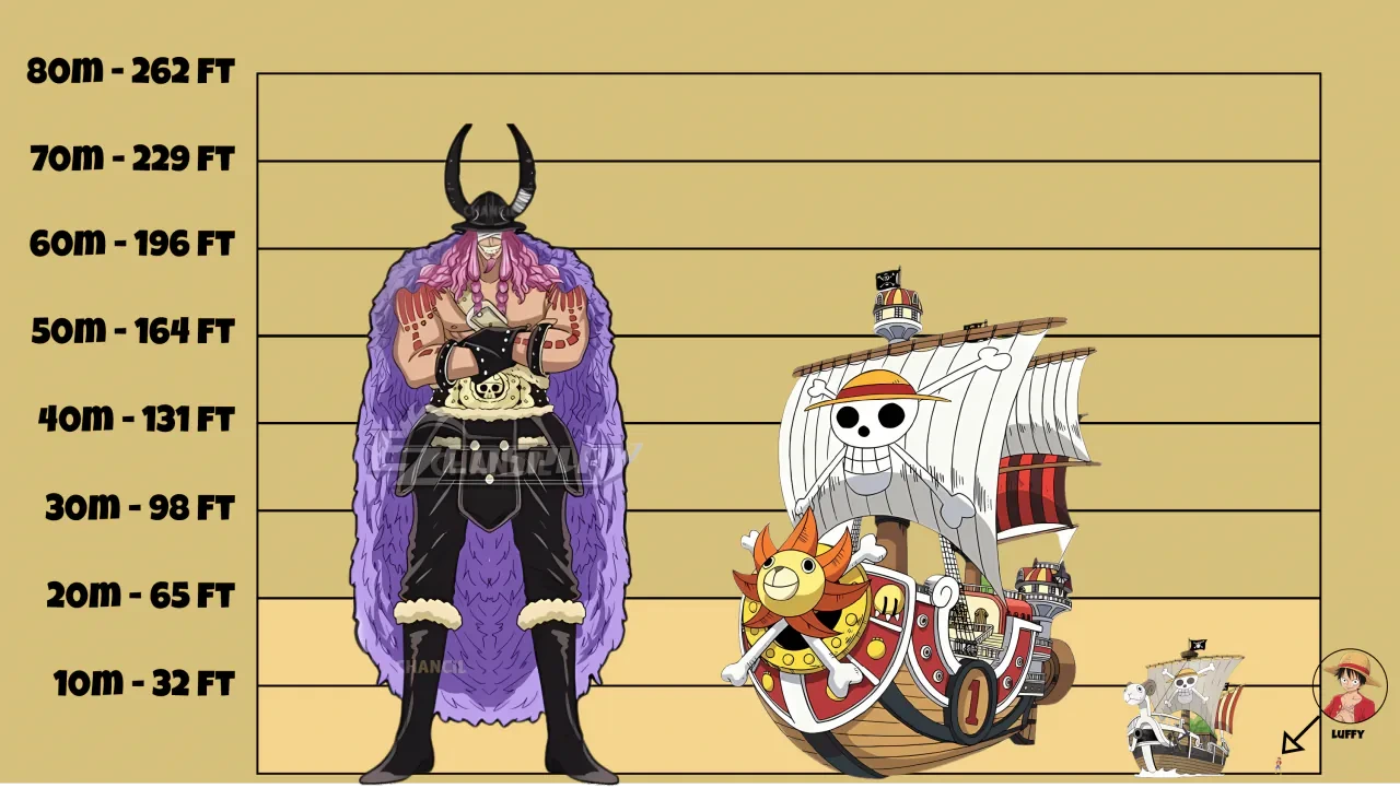 원피스에서 루피의 마지막 동료 썰이 나오는 캐릭터 | 인스티즈