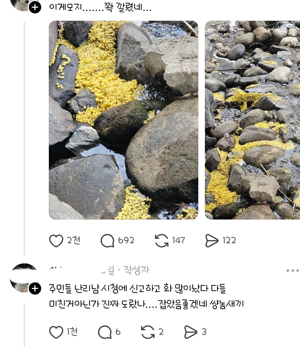 강에다가 스펀지를 누가 대량으로 버려서 난리가 남 | 인스티즈